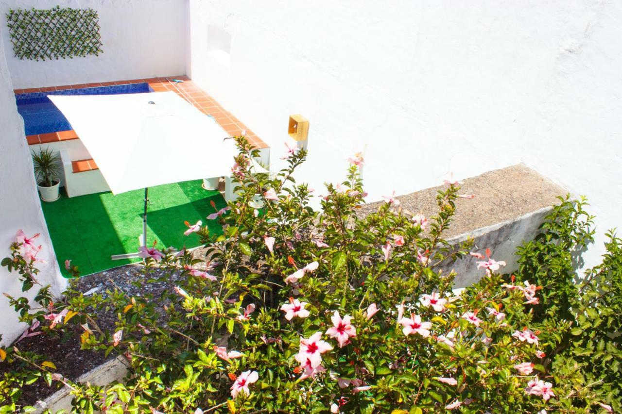 Casa Dos Tios Estremoz-Veiros Villa ภายนอก รูปภาพ